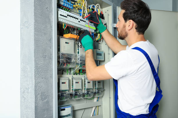 Best Electrical System Inspection  in Meadowbrook, AL