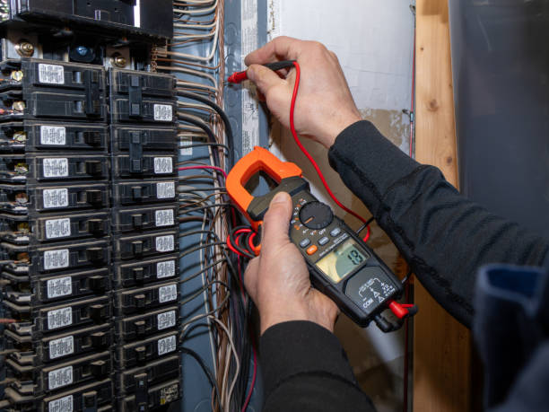 Best Ceiling Fan Installation Electrician  in Meadowbrook, AL
